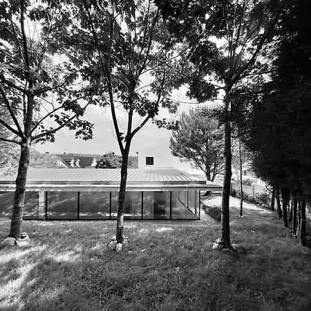 Casa Do Carvalhal - Quinta Do Soldado Villa Alquerubim Exterior foto