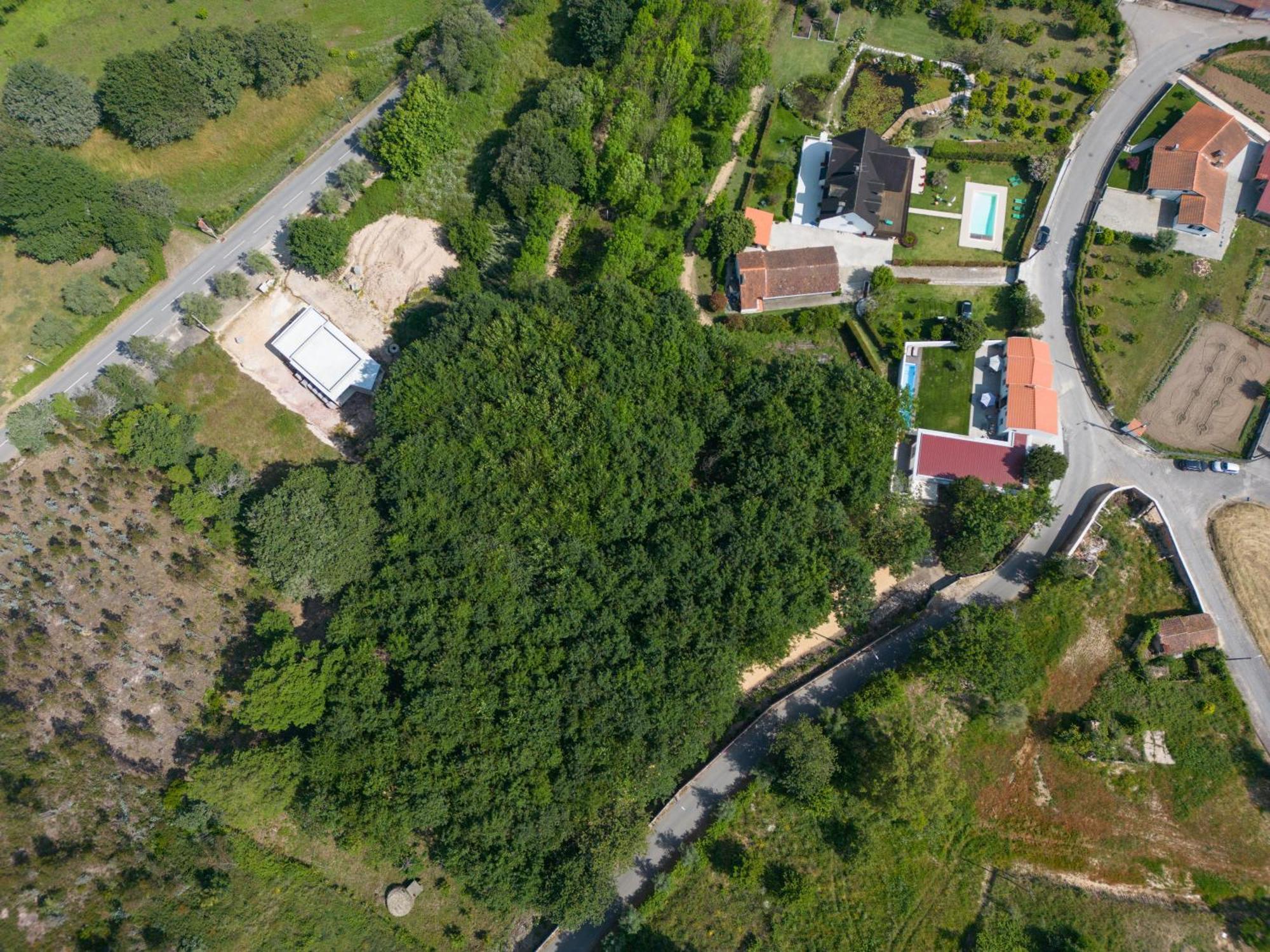 Casa Do Carvalhal - Quinta Do Soldado Villa Alquerubim Exterior foto